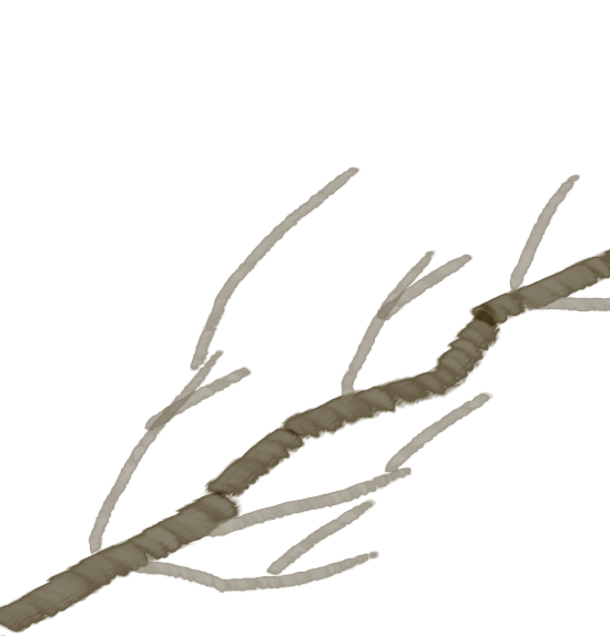枝を描く