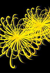 Illustratorで乱菊をつくる – 和素材作り –
