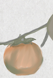 photoshopで水墨画風の柿を描いてみましたメイキング