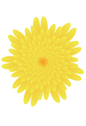 Illustratorのアピアランスで菊の花をつくる　-和素材作り-